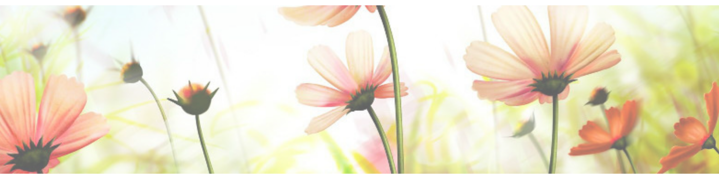 Letná biblická škola – Ježiš a ženy